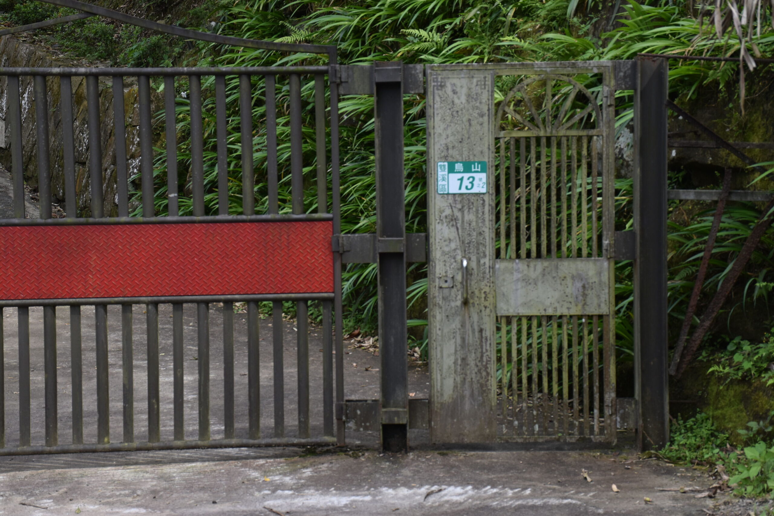 DSC_0224
