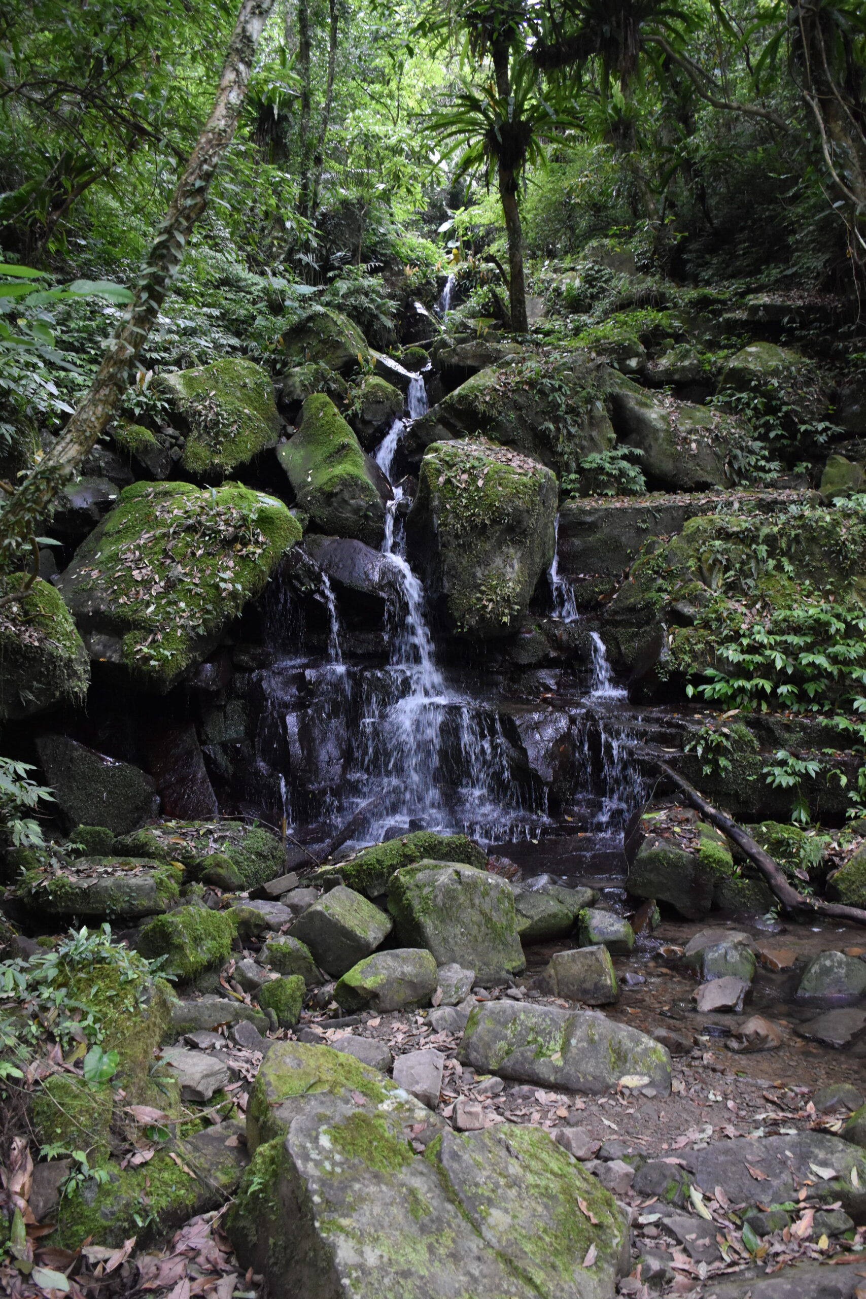 DSC_0256