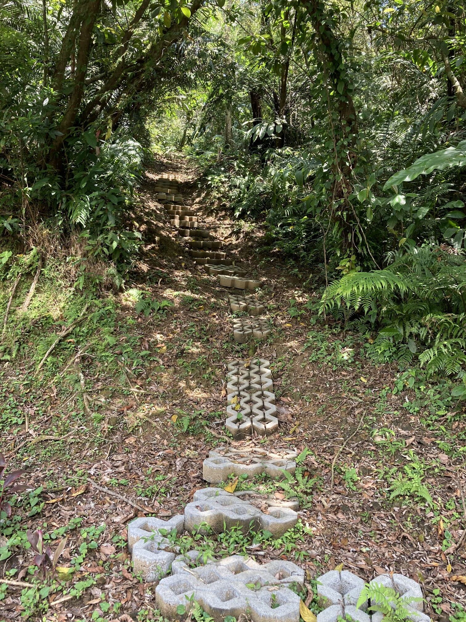 不知通往何處的山徑