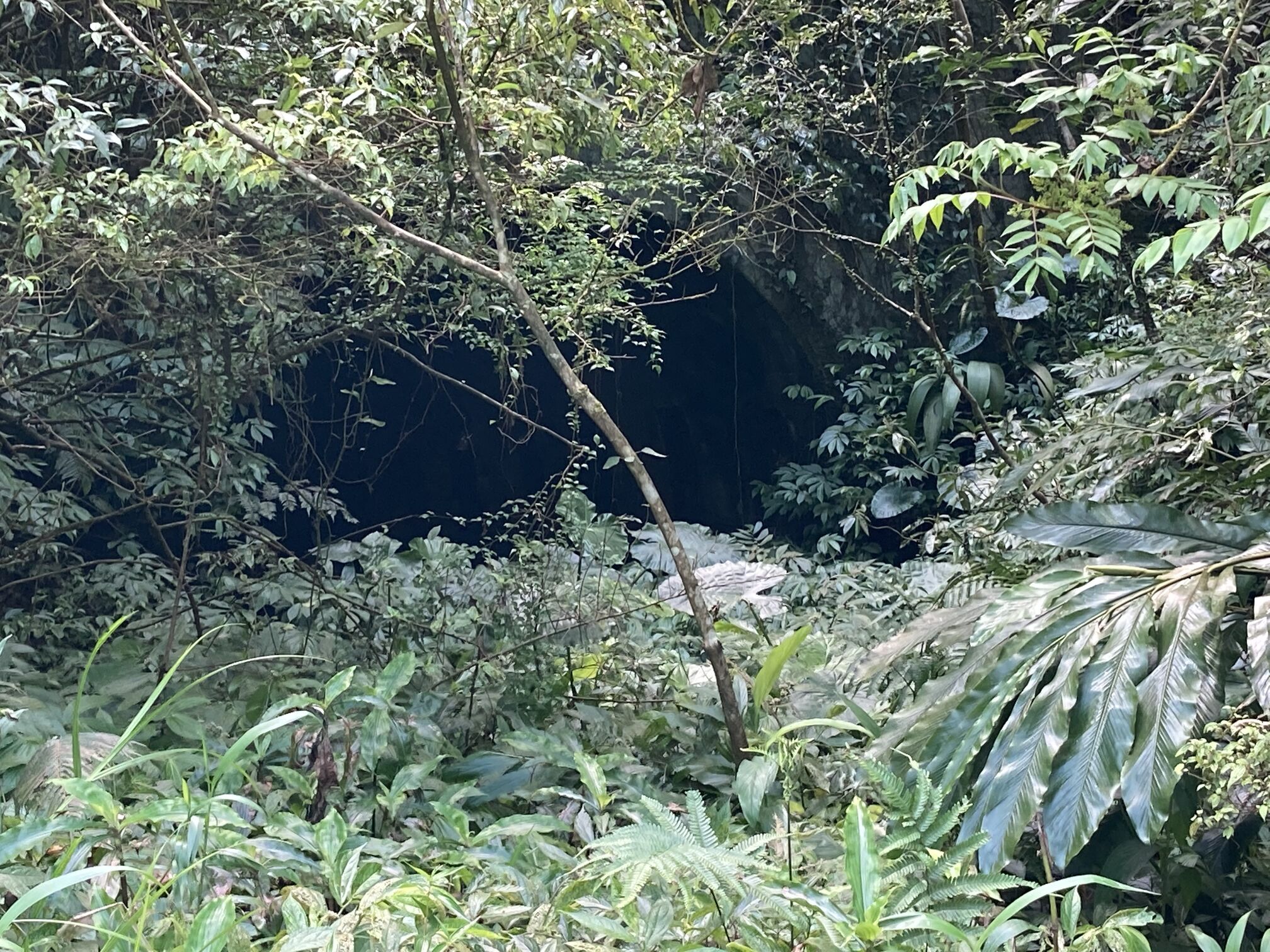 不知名礦坑口