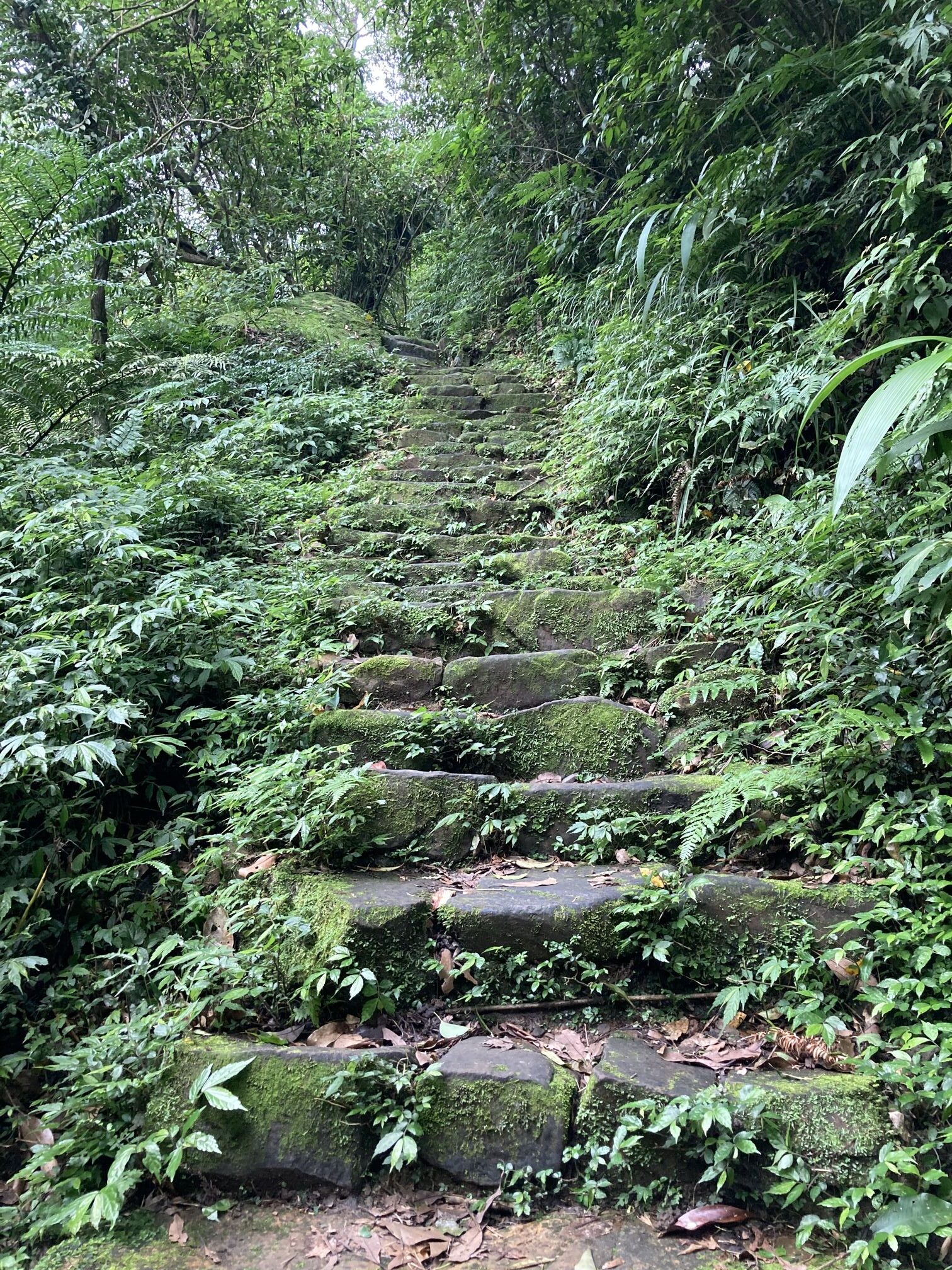 無止盡的硬漢嶺 1