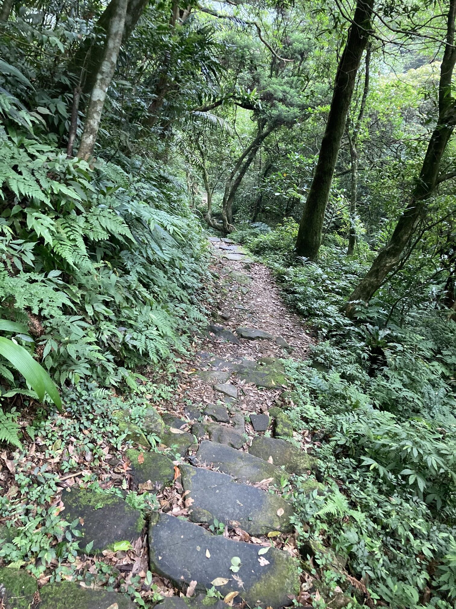 無止盡的硬漢嶺 2