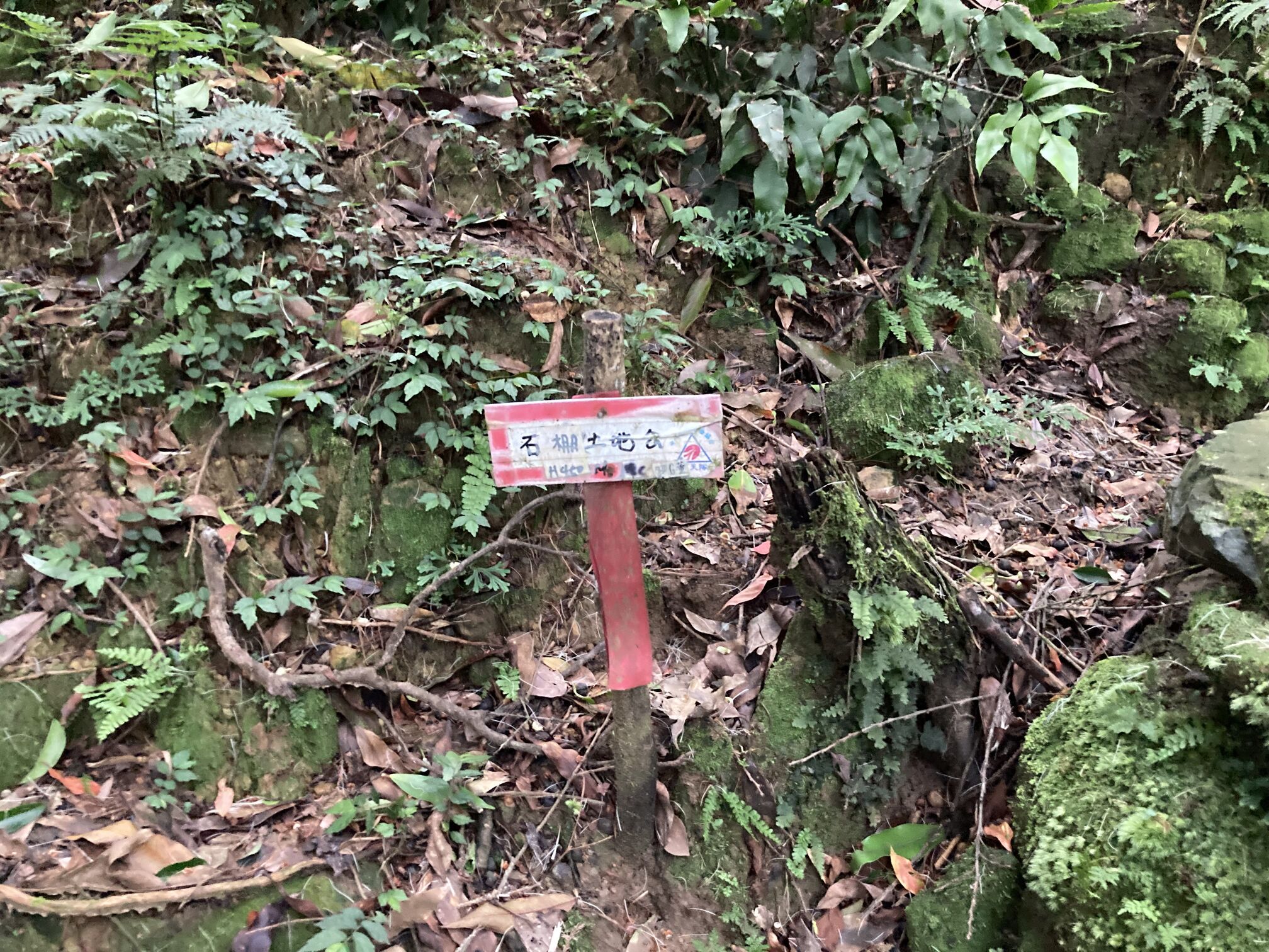天色暗, 拍的不清楚, 有機會再來重拍