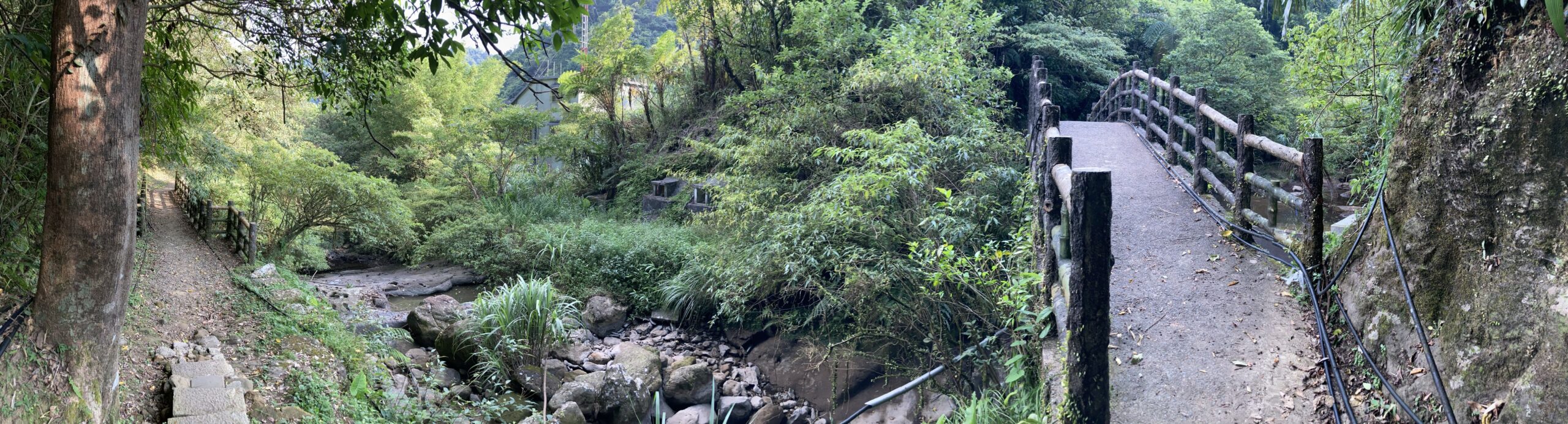 運氣相當好，才剛上步道沒多久，就在路旁的水塘，看到不知是穿山甲或果子狸的野生動物。這小可愛也看到我，一溜煙就消失在草叢內。下山的時候，也有看到另一隻類似的動物，由眼前快速通過。應該是某條穿越步道的獸徑。只是，相當可惜，所有的發生，都在一瞬間，來不及用相機記錄下來。