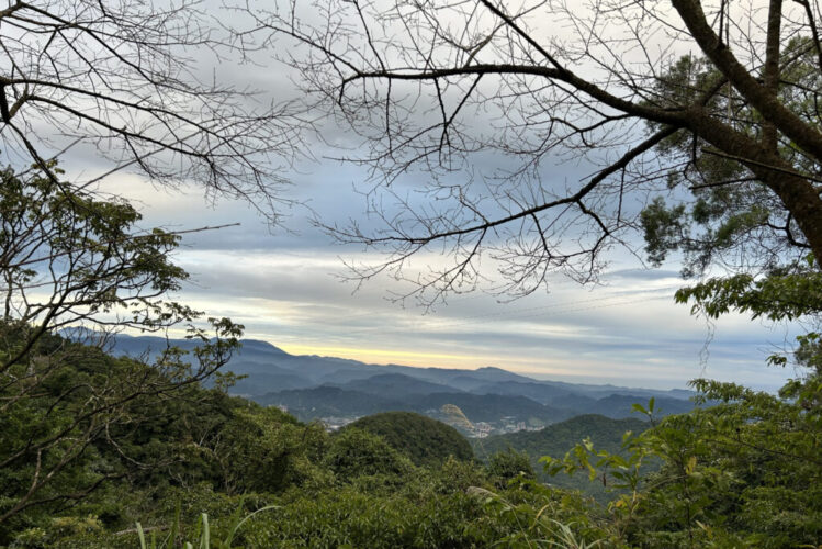 IMG_2384.2x3