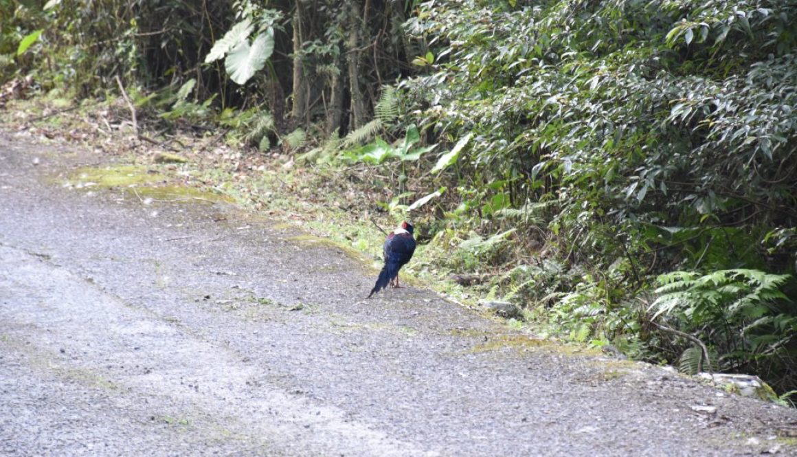 DSC_0057 DSC_0057