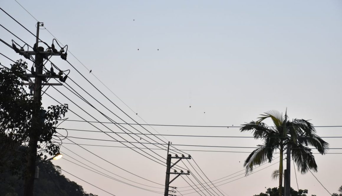 DSC_0060 DSC_0060
