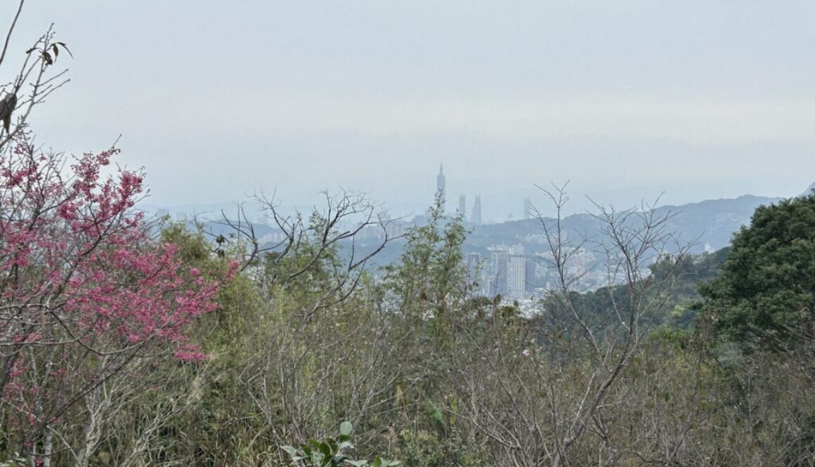 騰龍御櫻.20260220.FI